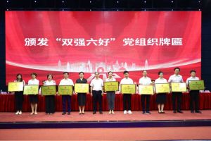 喜报！JIANGNAN.COM江南体育(中国大陆)科技公司集团党支部荣获广州市非公有制经济组织“双强六好”党